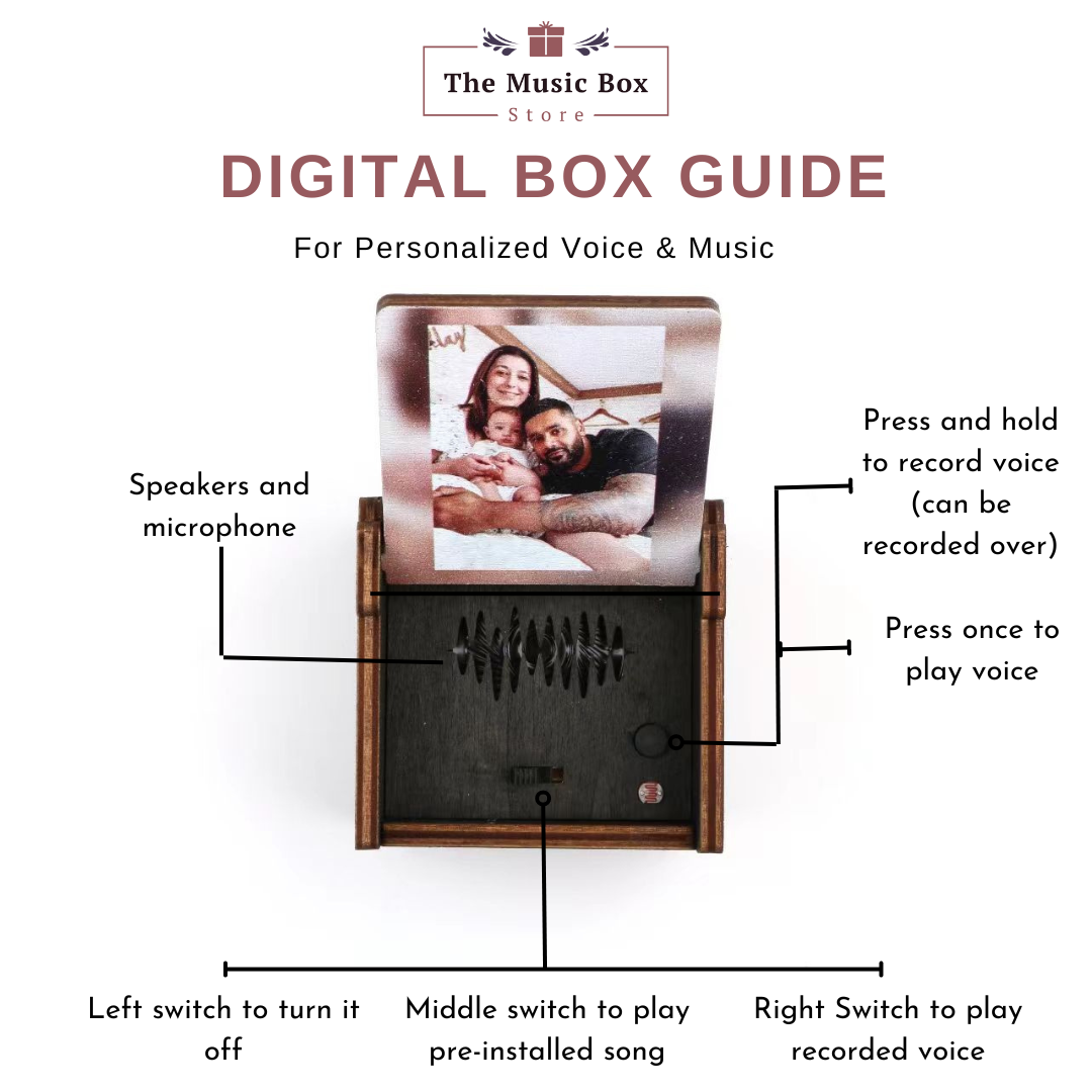 Custom Digital Music Box - Any song, tune, or voice