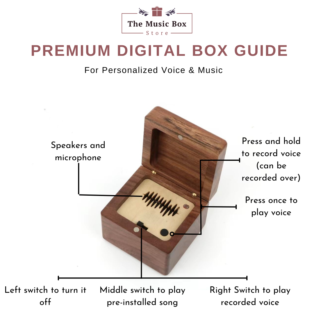 *NEW* Premium Digital Music Box - Any song, tune, or voice