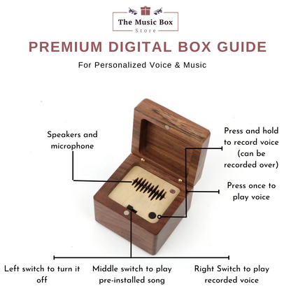 Custom Digital Music Box - Any song, tune, or voice