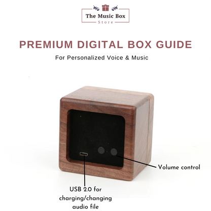 *NEW* Premium Digital Music Box - Any song, tune, or voice