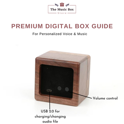 Music best sale box audio