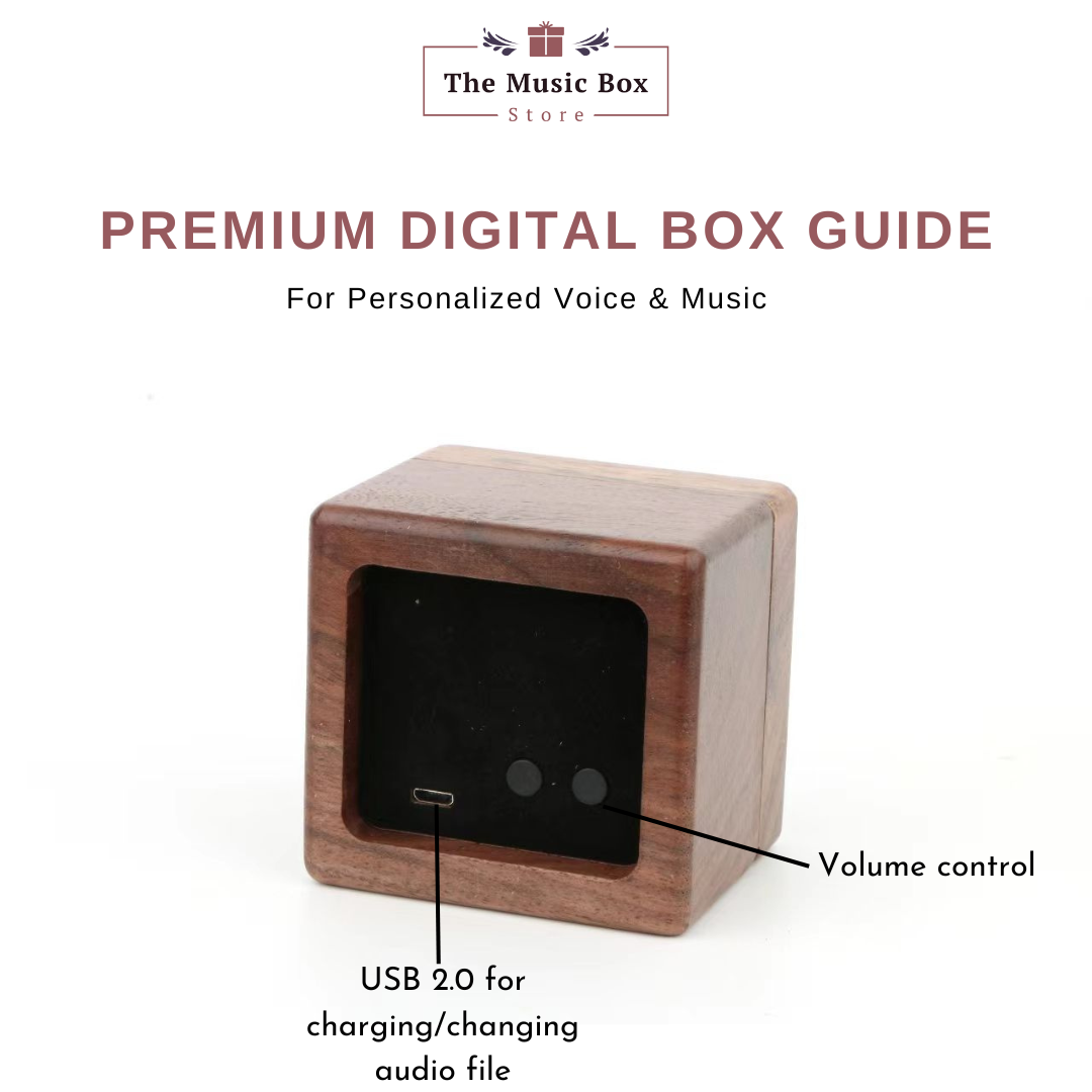 Custom Digital Music Box - Any song, tune, or voice