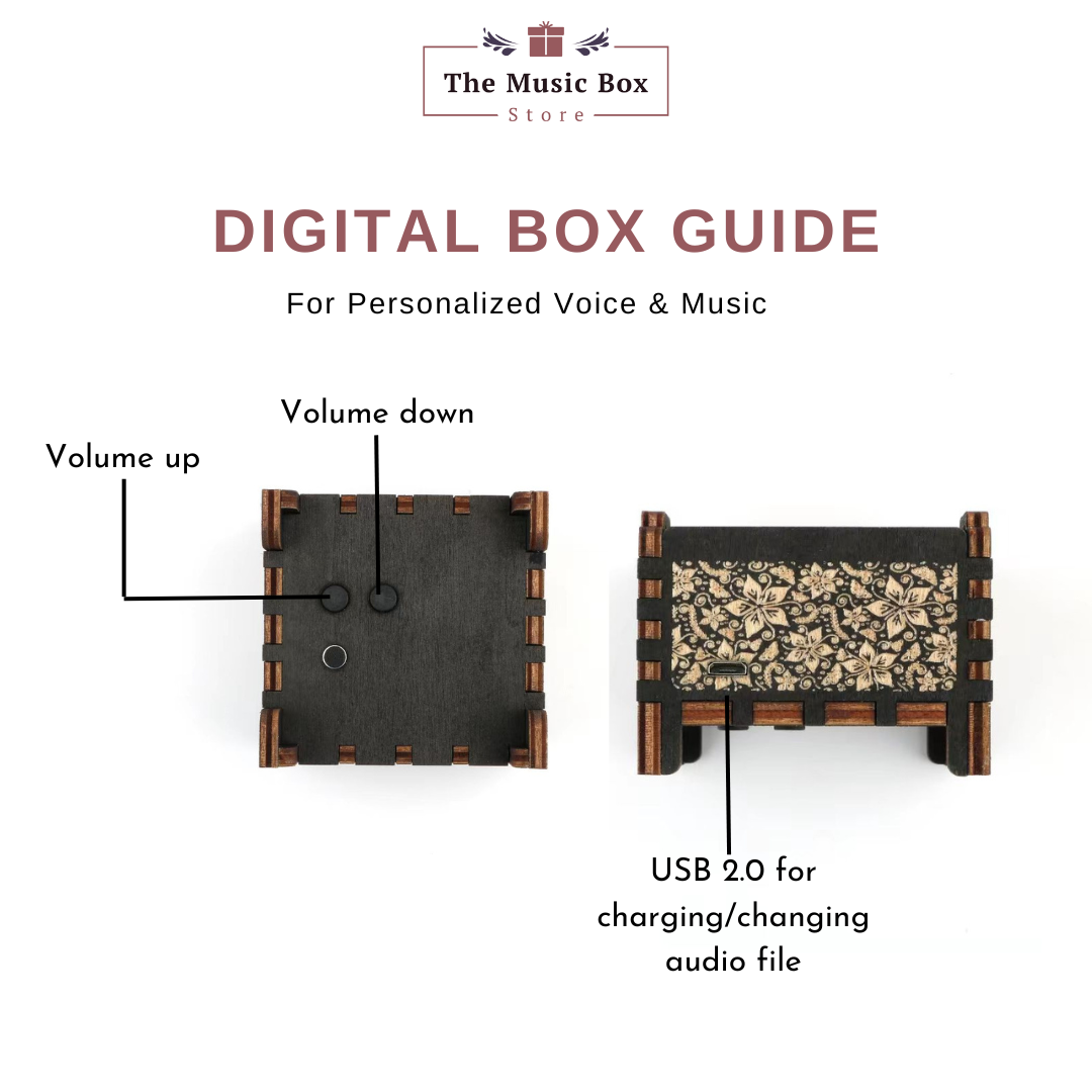 Custom Digital Music Box | The Music Box Store